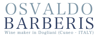 Osvaldo Barberis logo